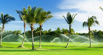 Irrigation & Fertilization Siesta Key / Sarasota